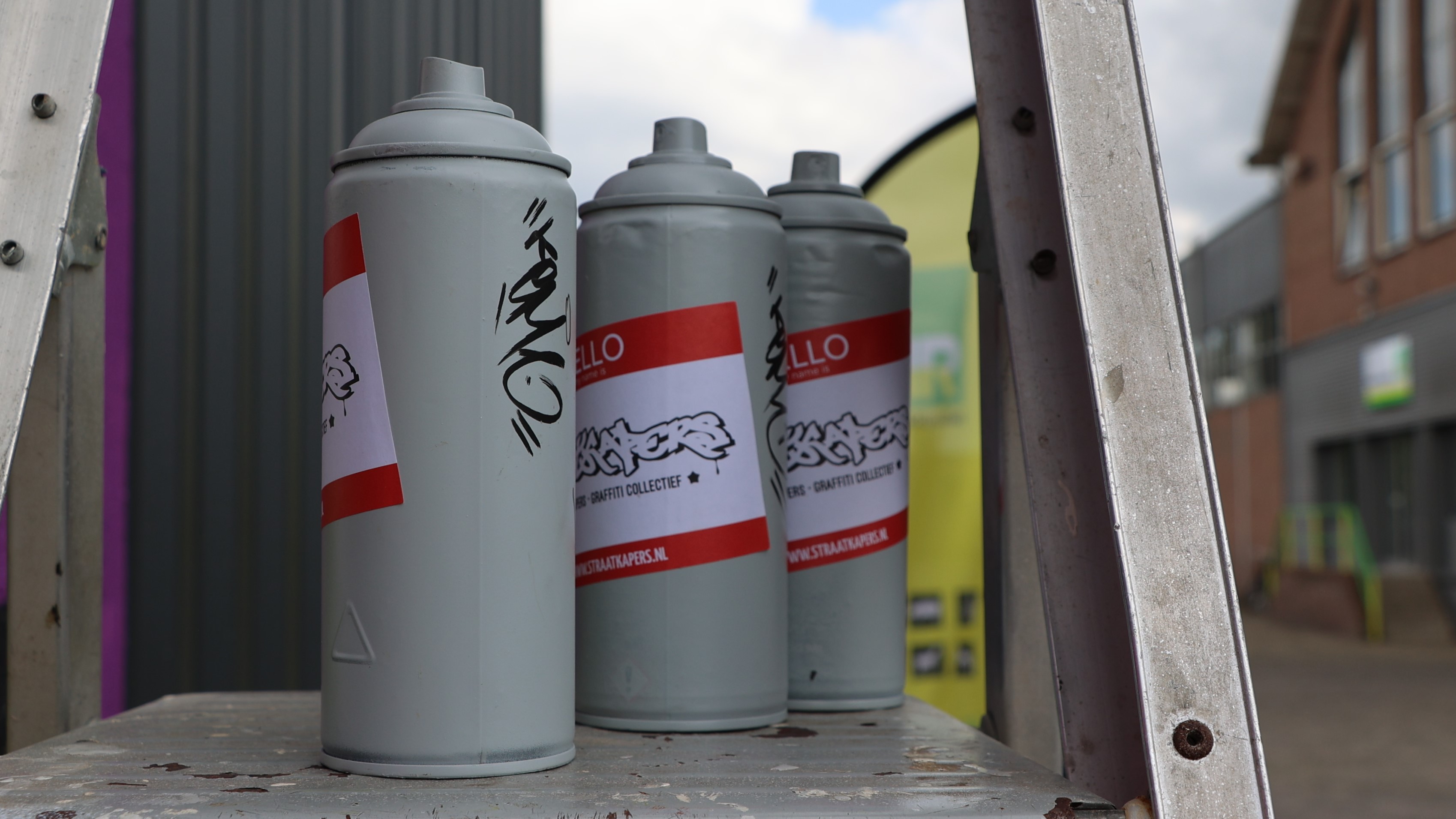 Foto: Street art bij station Barneveld onthuld