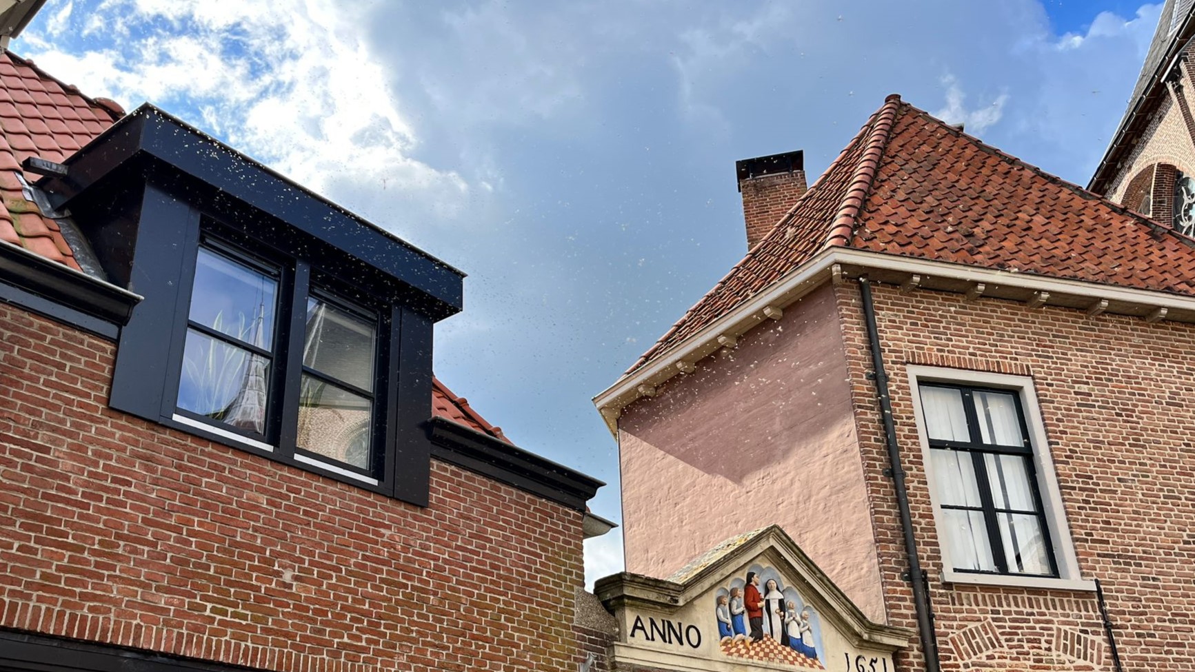 Foto: Zwermen vliegjes in centrum Harderwijk: wat zijn het?