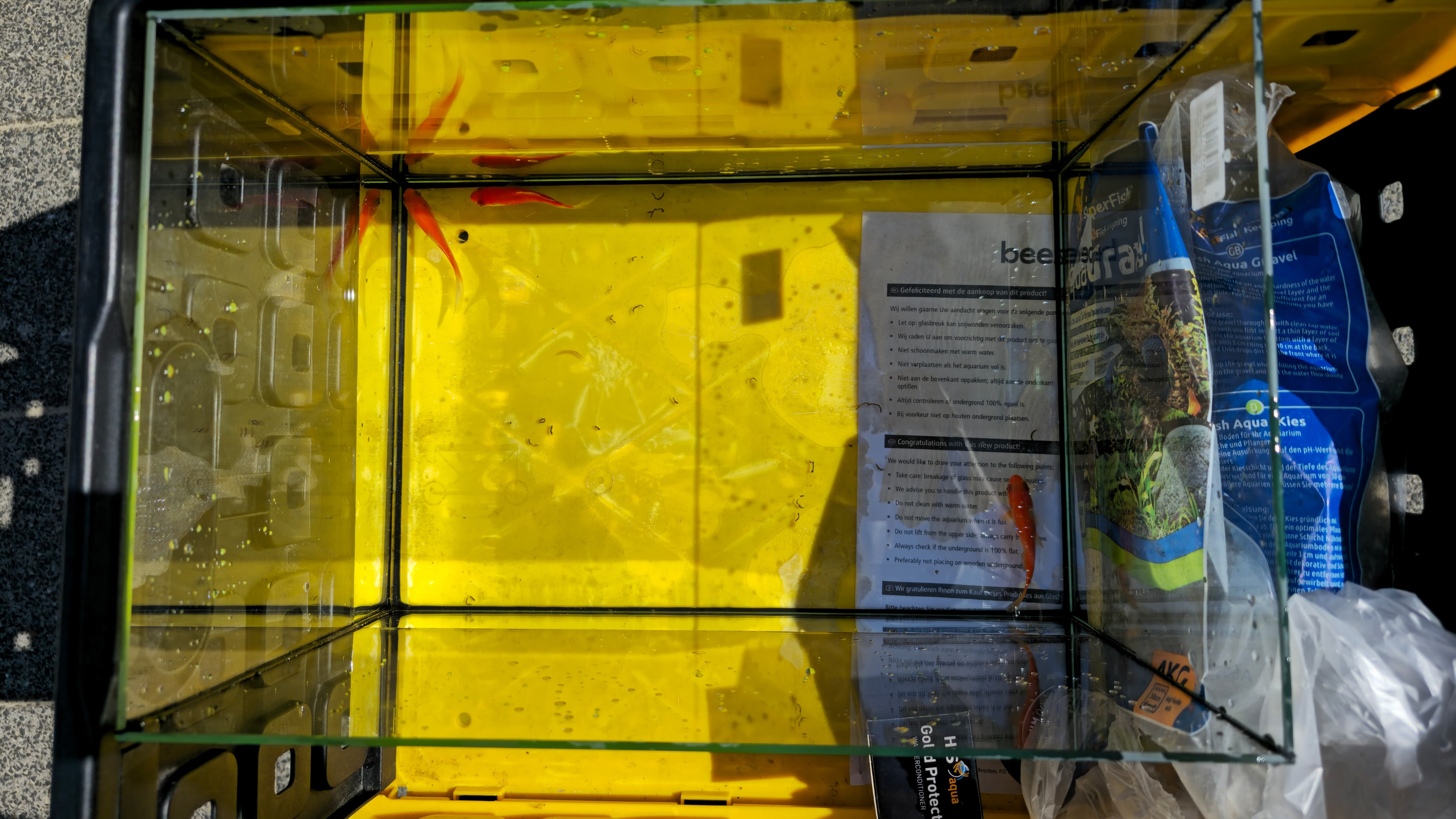 Foto: VIDEO: Opening vernieuwde Nassauschool: ‘Een school van de hele samenleving’