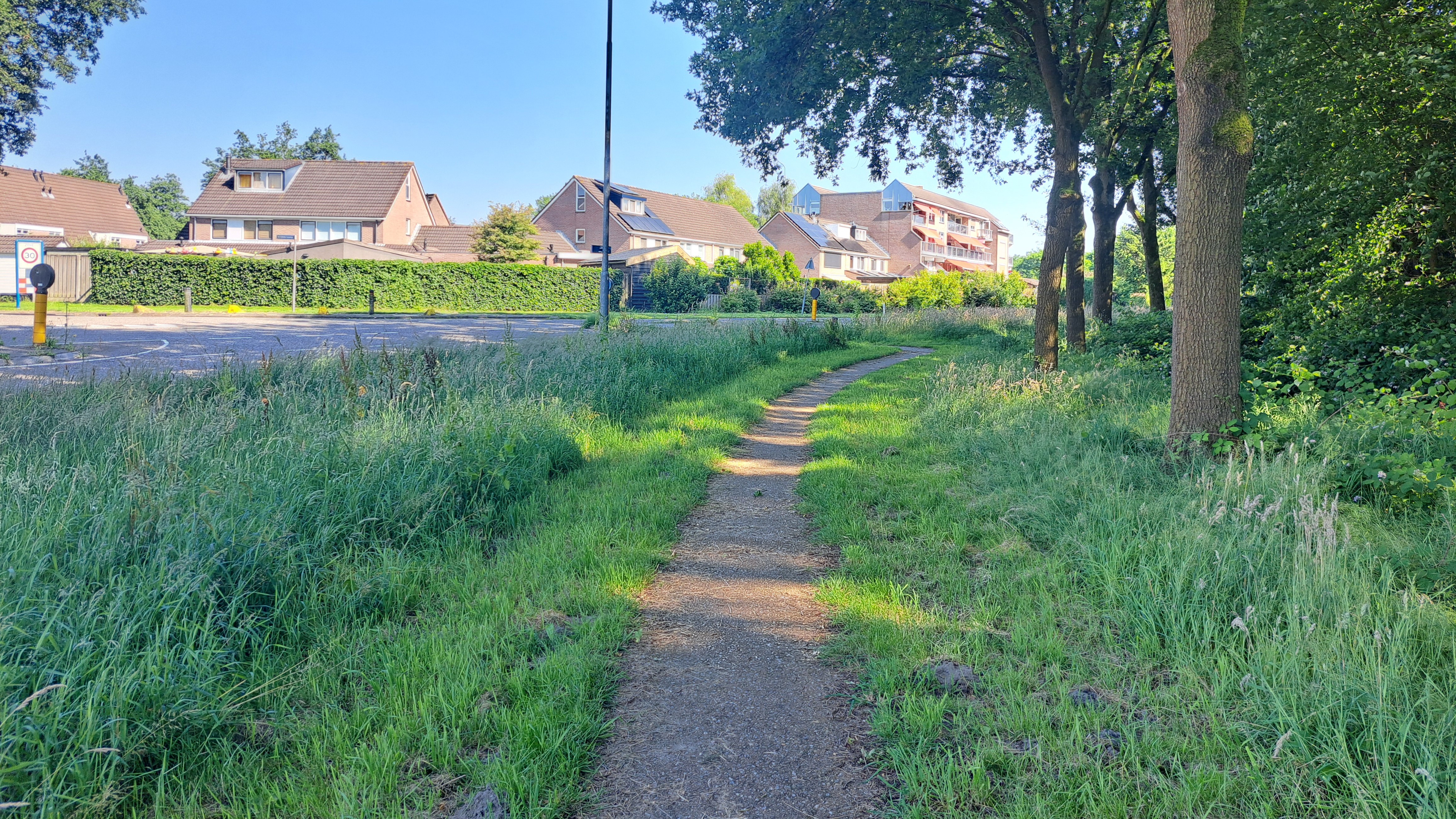 Foto: Zieke honden en hoge dierenartsenkosten: zorgen om grasaren bij baasjes