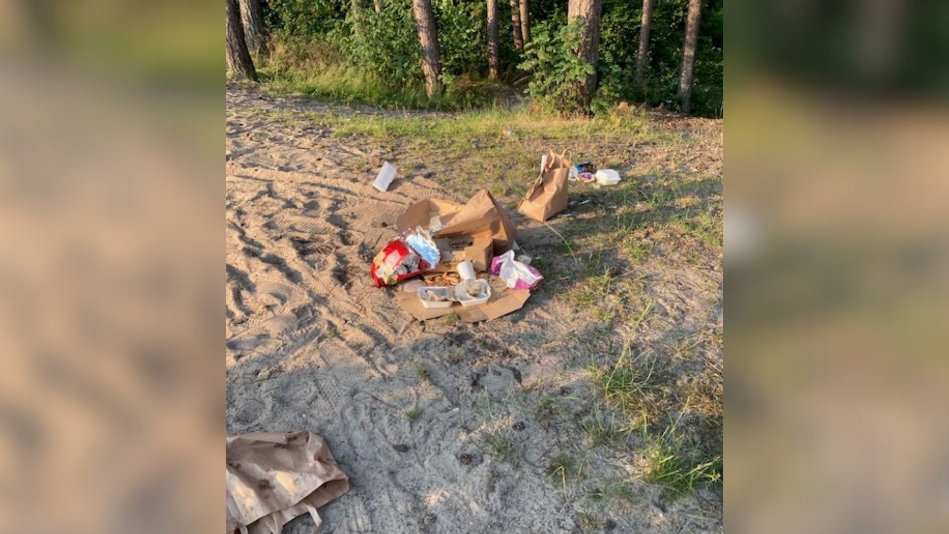Foto: Dit is hoe de Zandenplas eruit ziet na een zomerse dag
