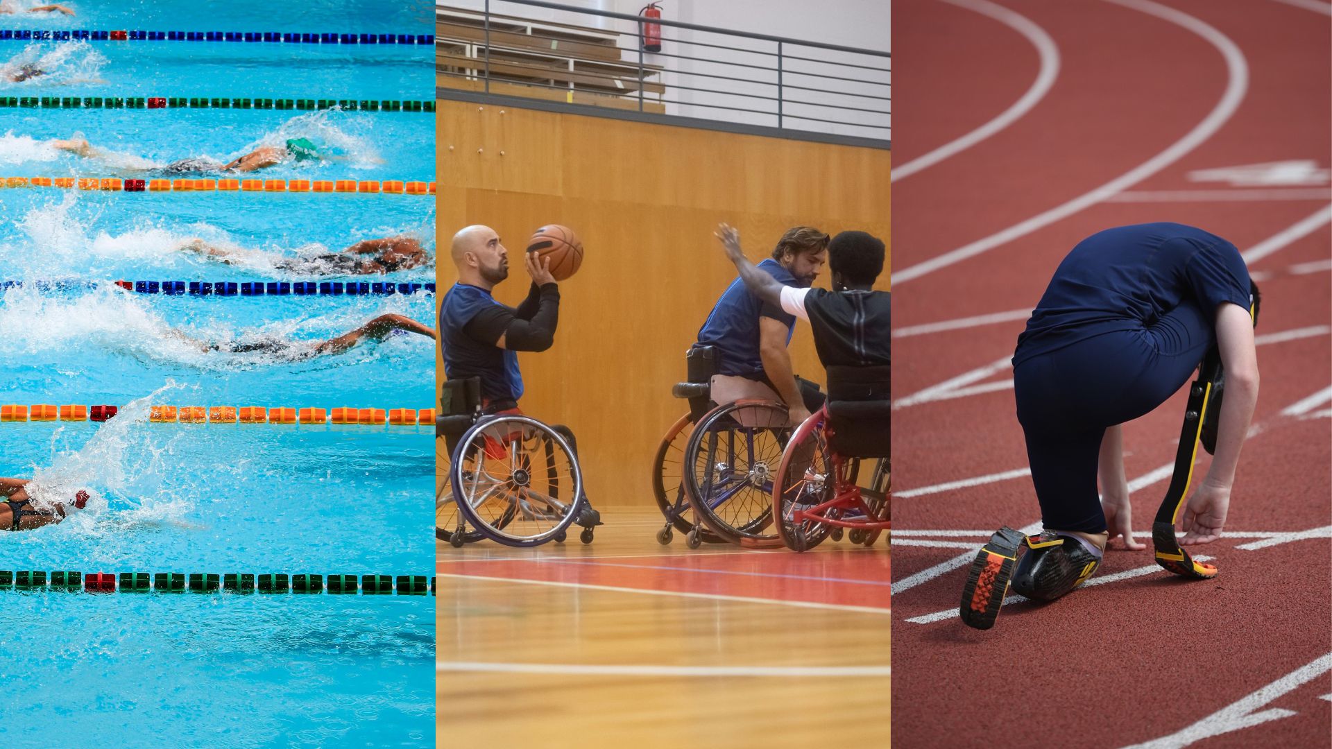 Foto: Dit zijn de paralympische sporters uit de regio