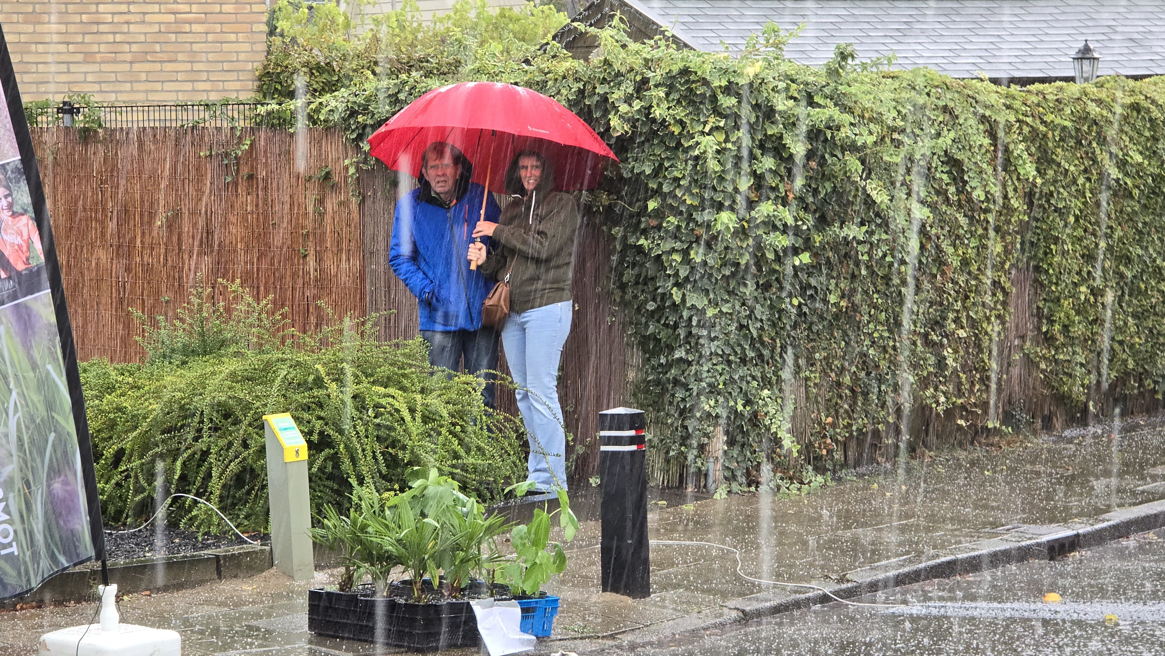 Foto: Regen en onweer, maar wel ouderwetse gezelligheid op Schapenmarkt: ‘Ik heb oe echt al joar’n niet ezien’