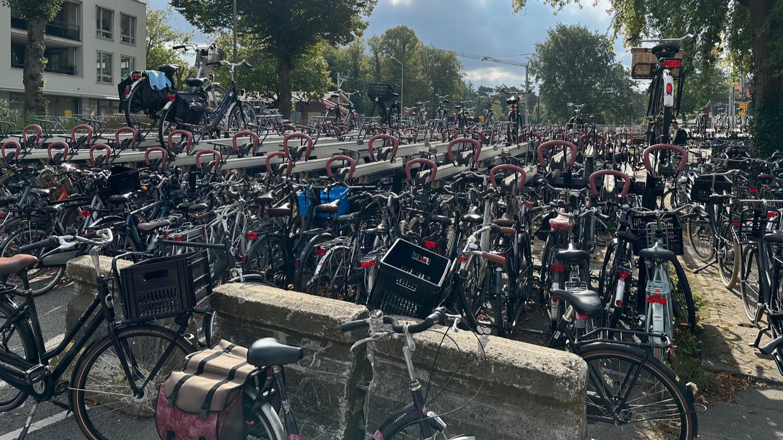 Foto: Gemeente Nunspeet coulant met fietsparkeren station, nog geen oplossing gymlessen Nuborgh