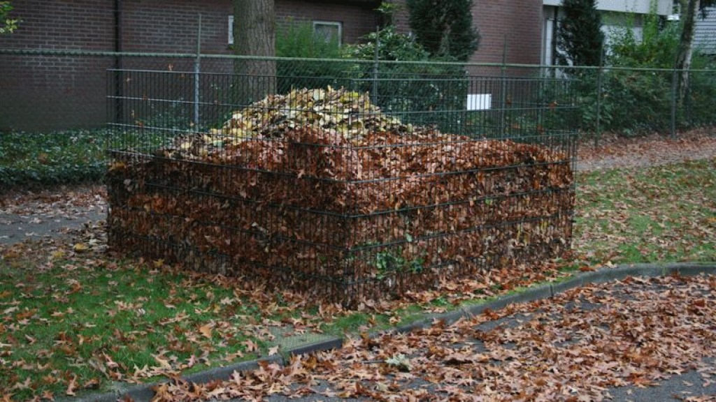 Foto: Dode bladeren in de tuin? Dit kun je er mee doen