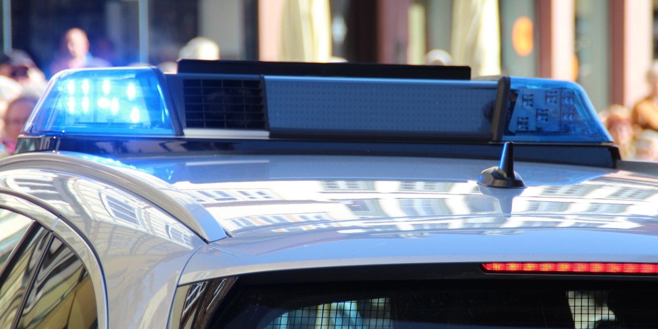 Foto: Politie doorzoekt bossen bij Wezep naar vrouw met hondje: 'Geen aanleiding aan te nemen dat iemand in nood is'