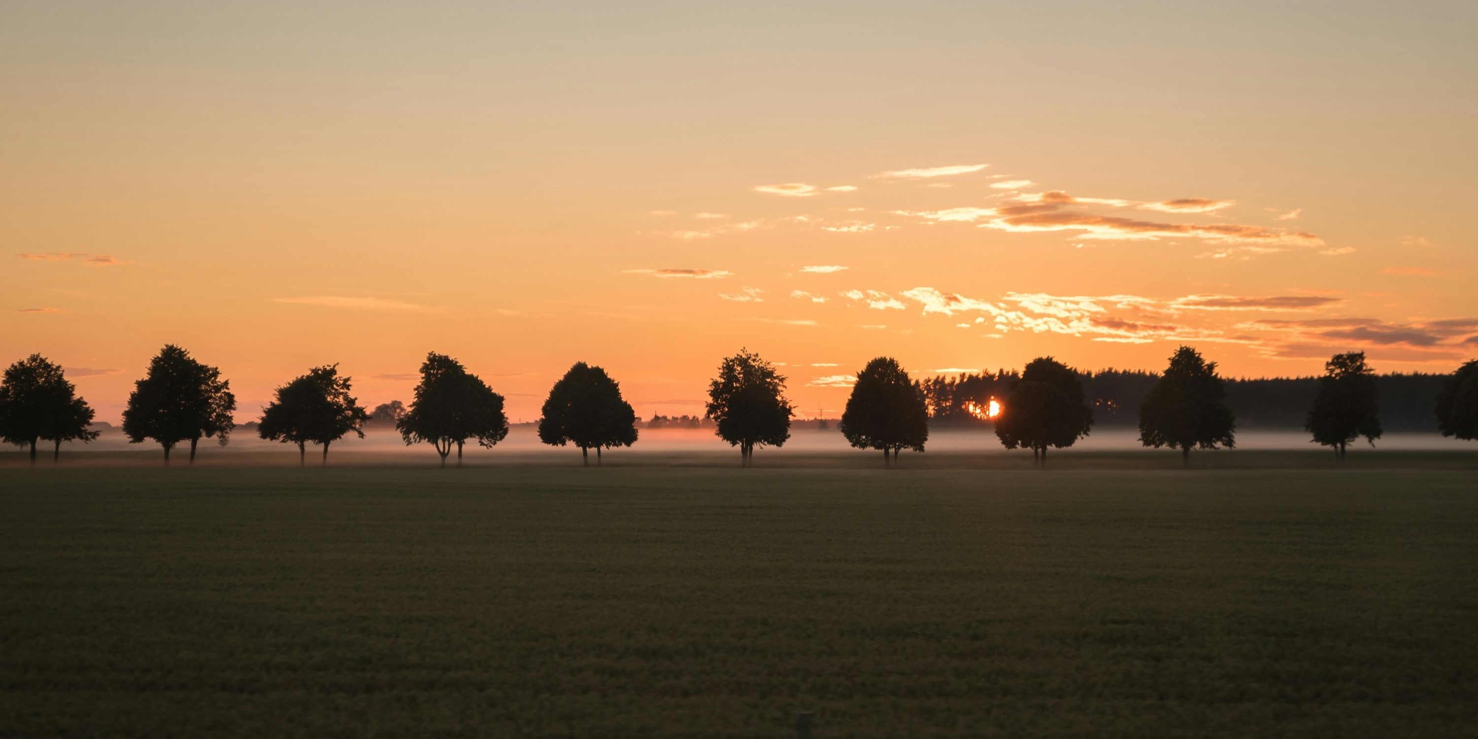 Foto: Bomen worden gesnoeid en gekapt in Barneveld: 169 vormen potentieel gevaar