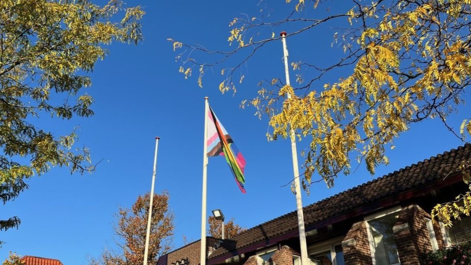 Foto: Terugblik Coming Out Day: 'Het effect van zo'n vlag moet niet onderschat worden'