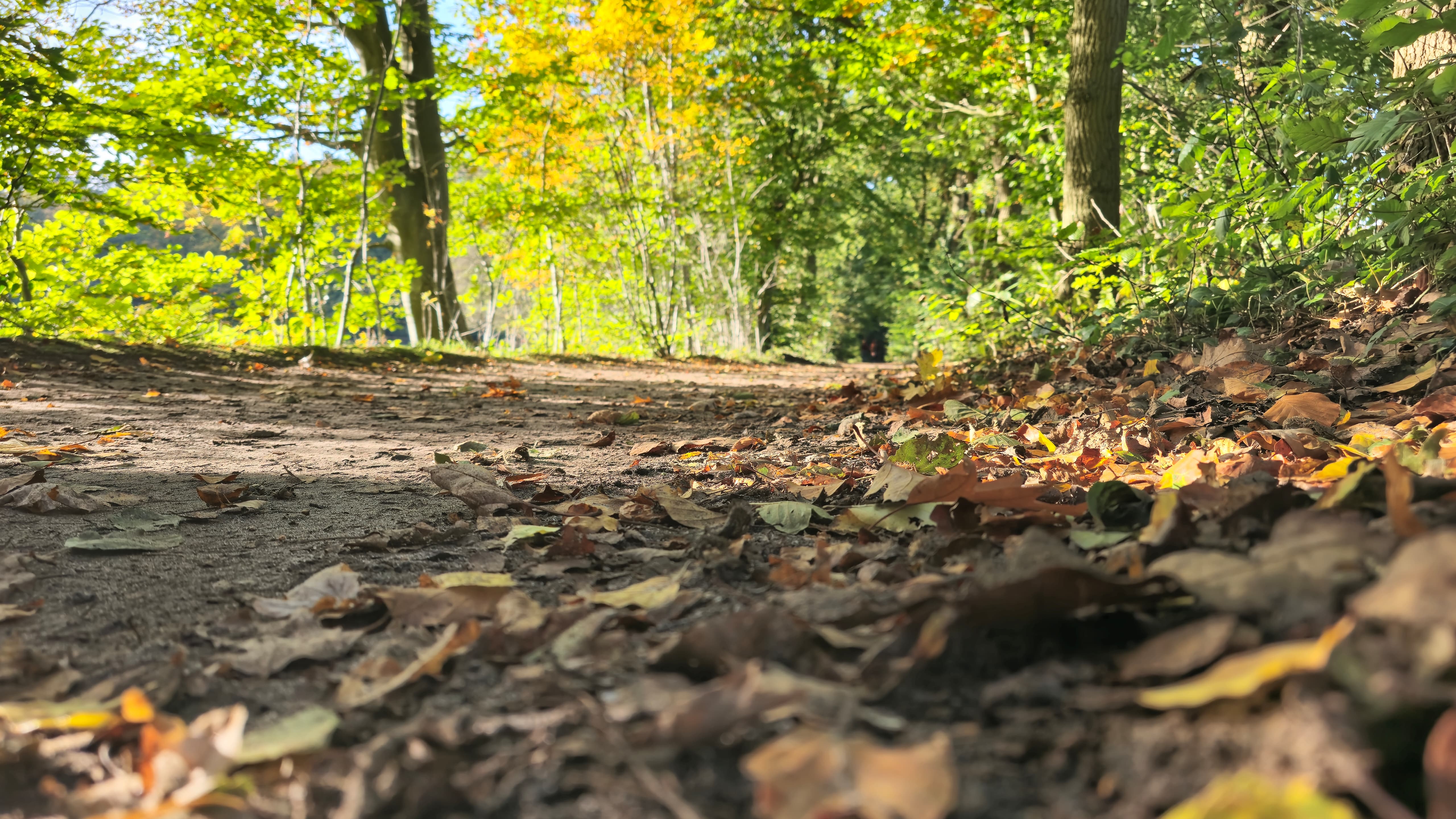 Foto: Herfst? We krijgen de komende dagen te maken met zachte temperaturen!