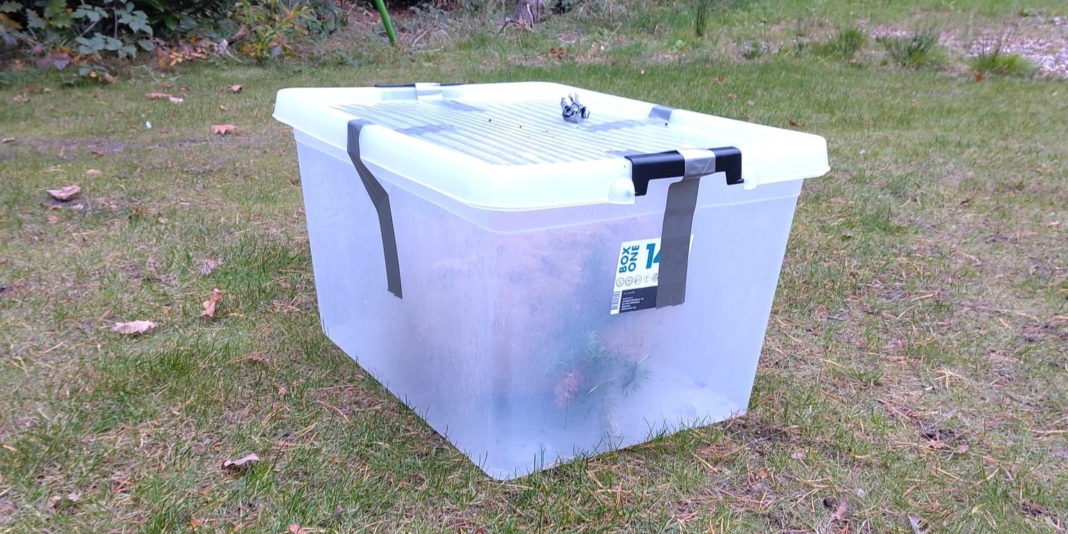 Foto: Nest Aziatische hoornaars in Nunspeet geruimd dankzij gezenderde hoornaar