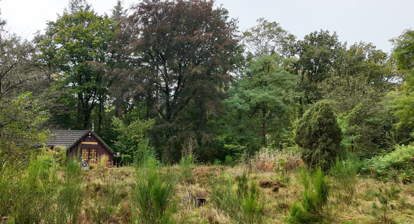 Foto: PvdA GroenLinks stelt schriftelijke vragen aan college over huurheffing voor Bijen-Natuurtuin Nunspeet