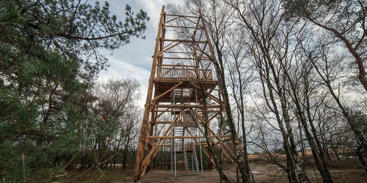Foto: Uitkijktoren Stakenberg aan vervanging toe: zien bezoekers straks alleen boomtoppen?