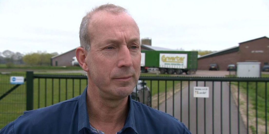 Foto: Boer Theo had ook vogelgriep op zijn bedrijf: 'Je ziet je dieren voor je ogen doodgaan'