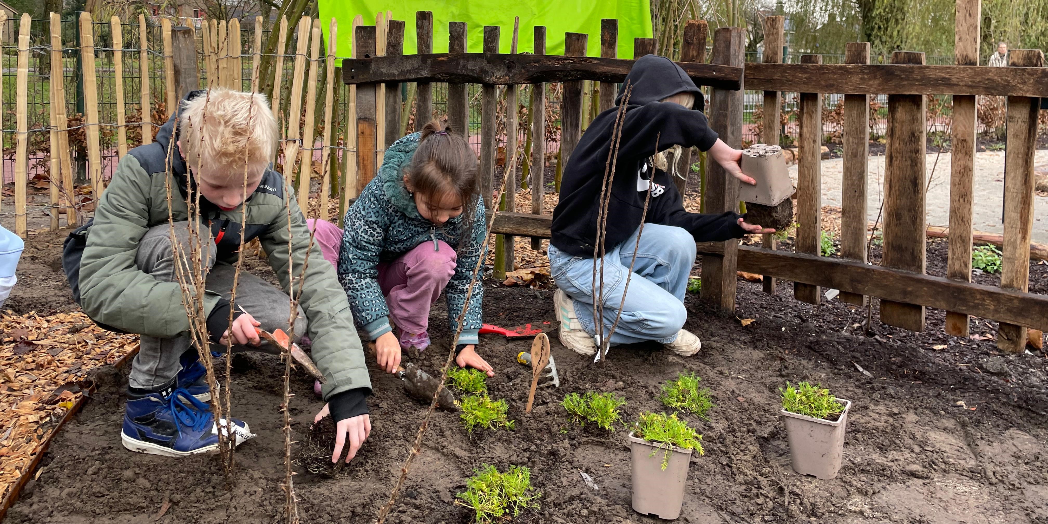 Foto: Kinderen planten voedselbosje op schoolplein basisschool Barneveld