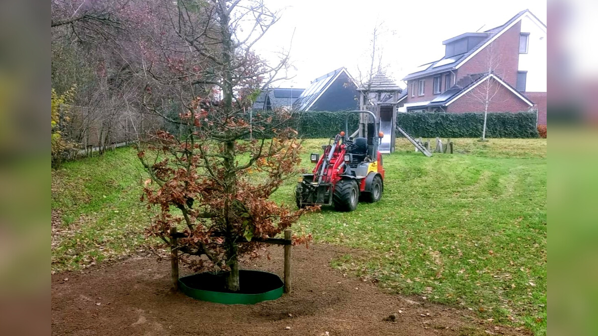Foto: Nieuwe bomen bij speelplekken in Putten voor verkoeling in zomer