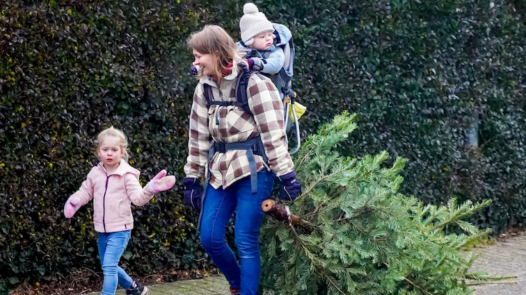 Foto: Puttense jongeren zamelen ruim 1.000 kerstbomen in
