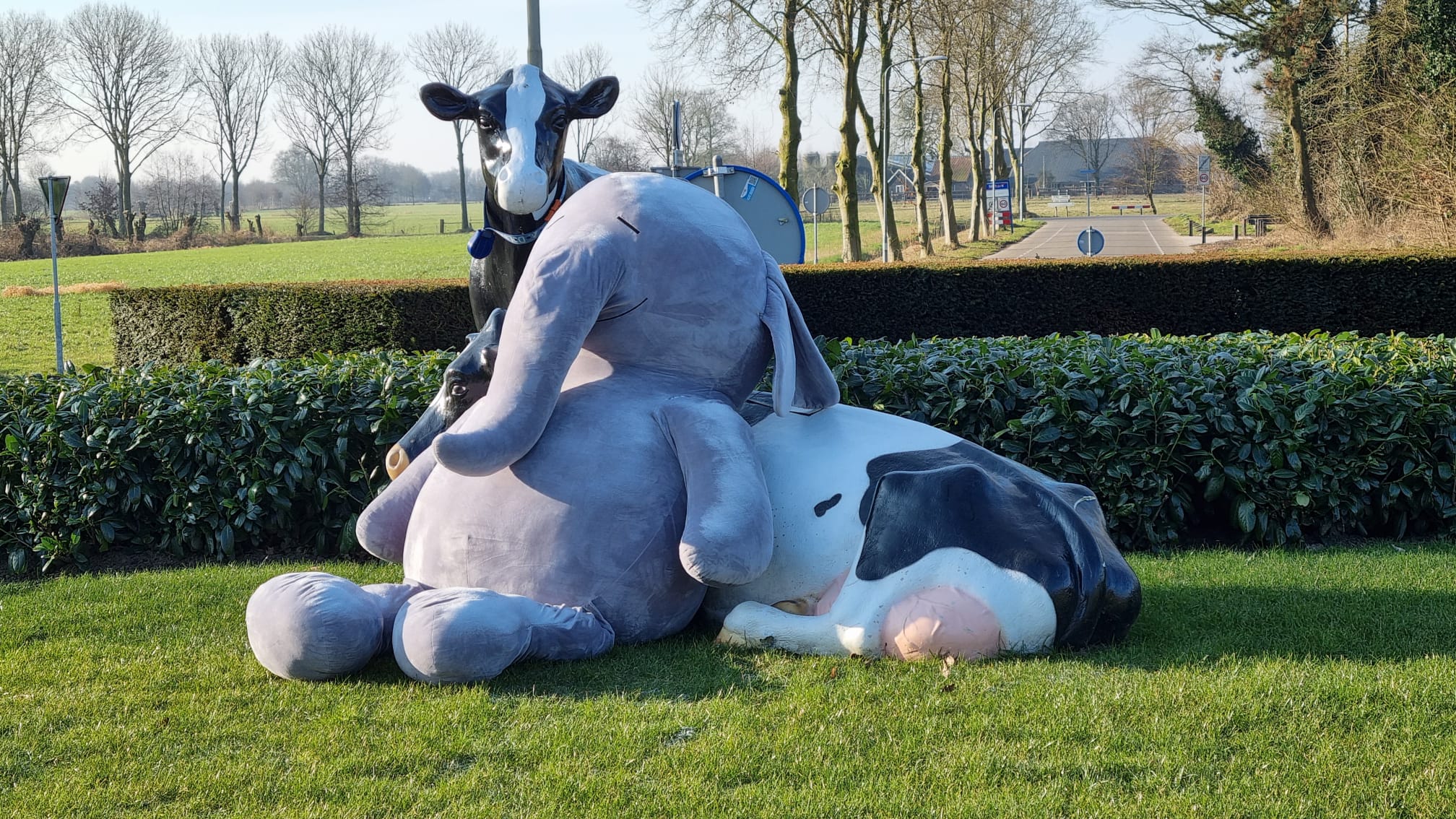 Foto: Herkomst mega knuffelolifant op Nijkerkse 'Koeienrotonde' blijft een raadsel