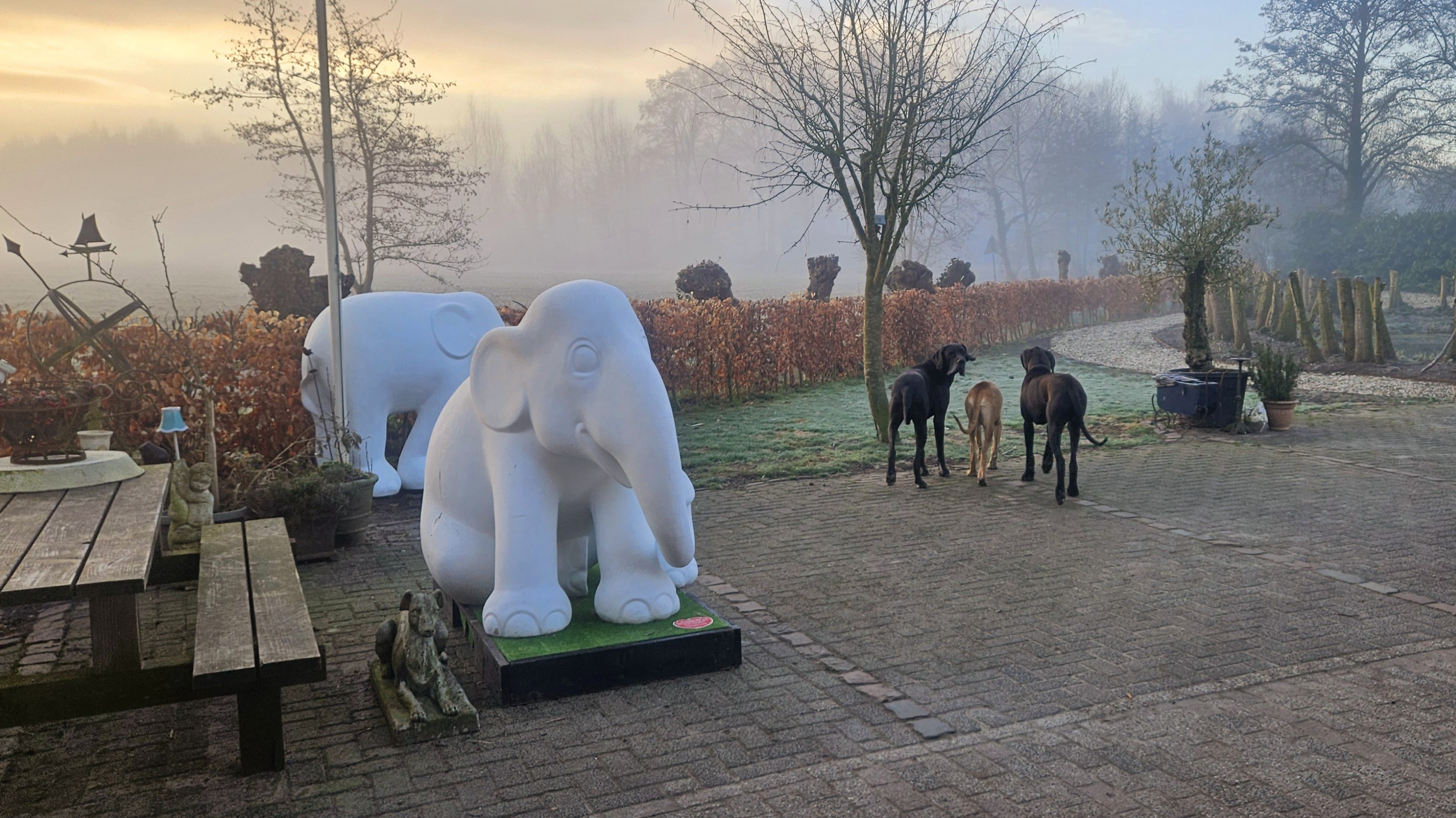 Foto: Elephant Parade sluit af met feestelijke bijeenkomst 
