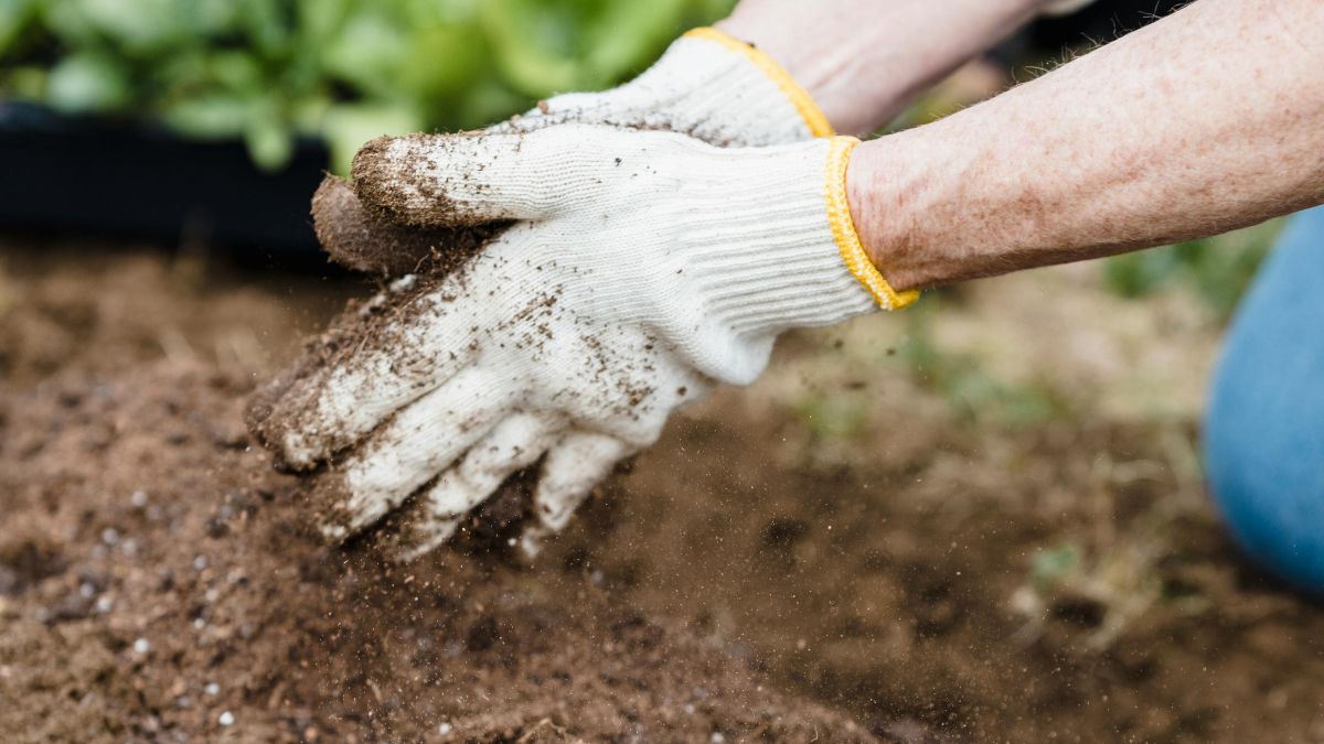 Foto: Grote opkomst bij compostdag in Putten
