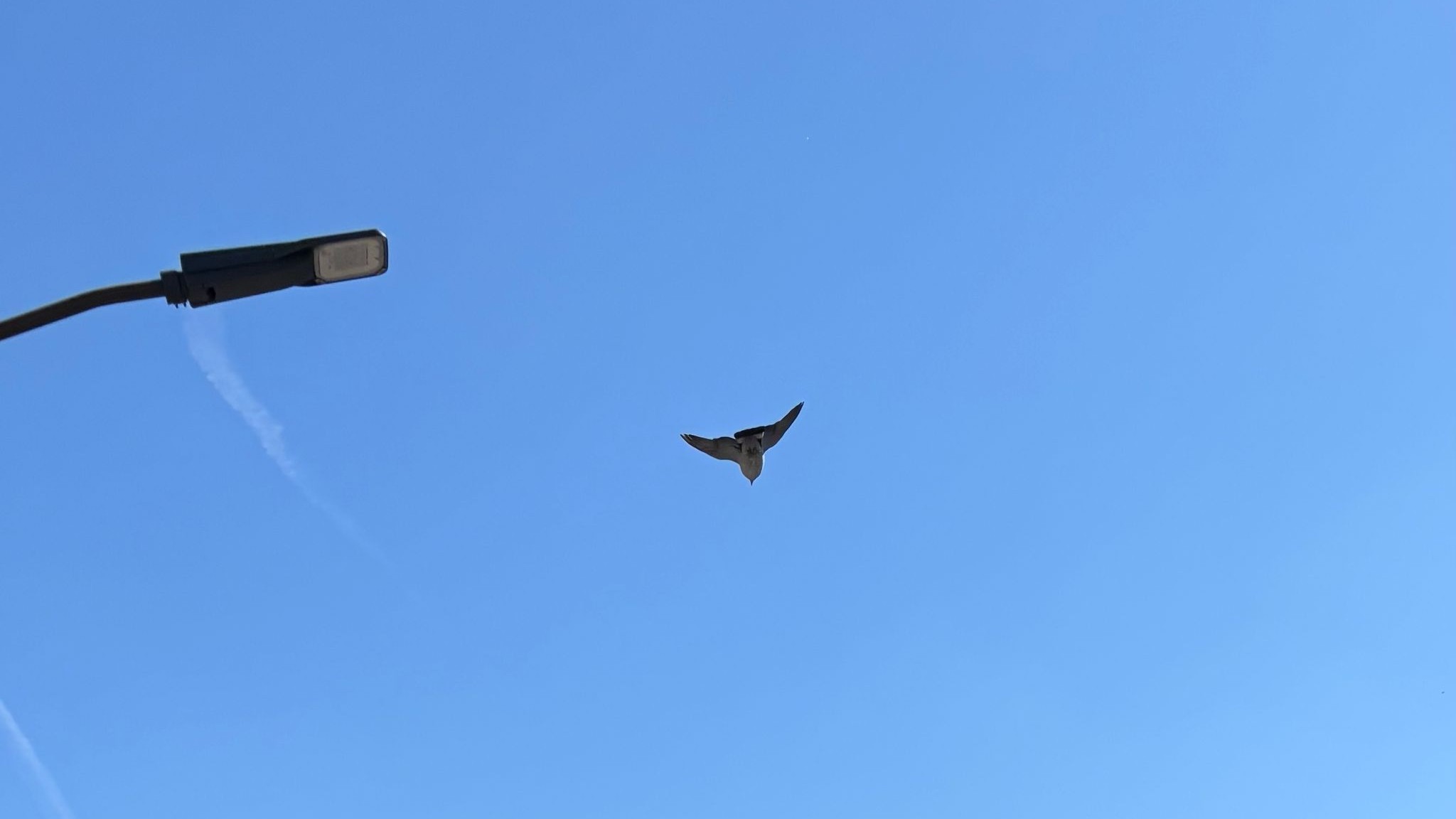 Foto: Dit is de oorsprong van onze migratiezorgen