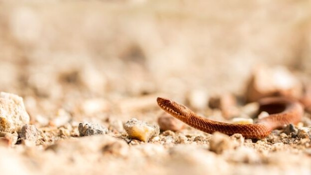 Foto: 'Respecteer de natuur': Fietsverbod in het Kootwijkerveen