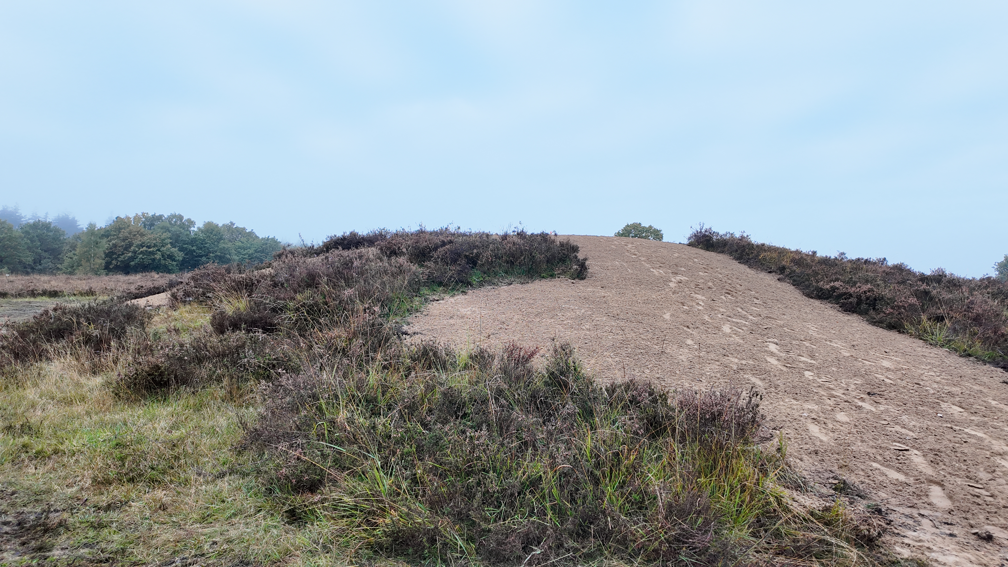 Foto: Oeroude grafheuvels op de Ermelosche heide krijgen opknapbeurt