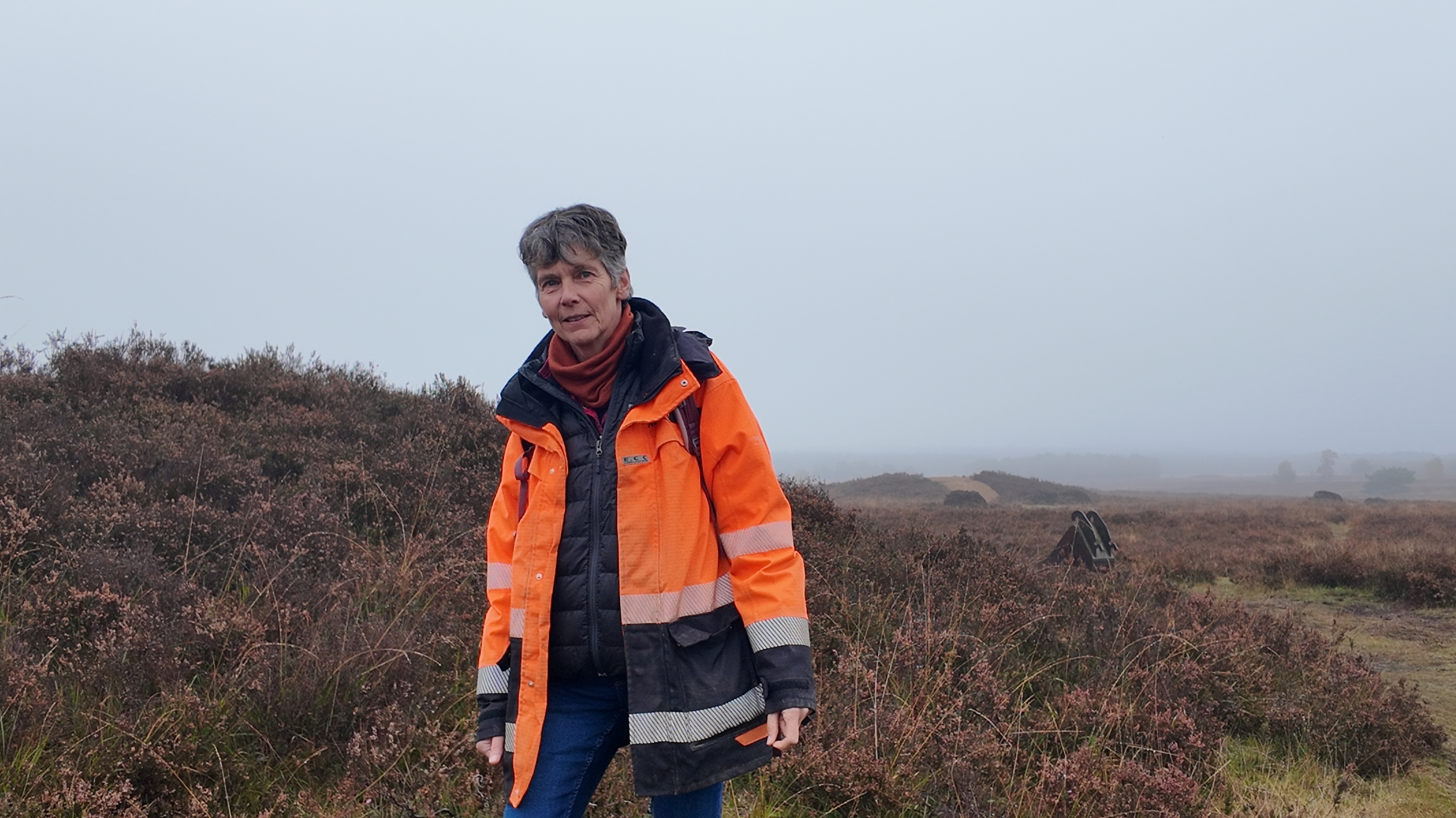 Foto: Oeroude grafheuvels op de Ermelosche heide krijgen opknapbeurt