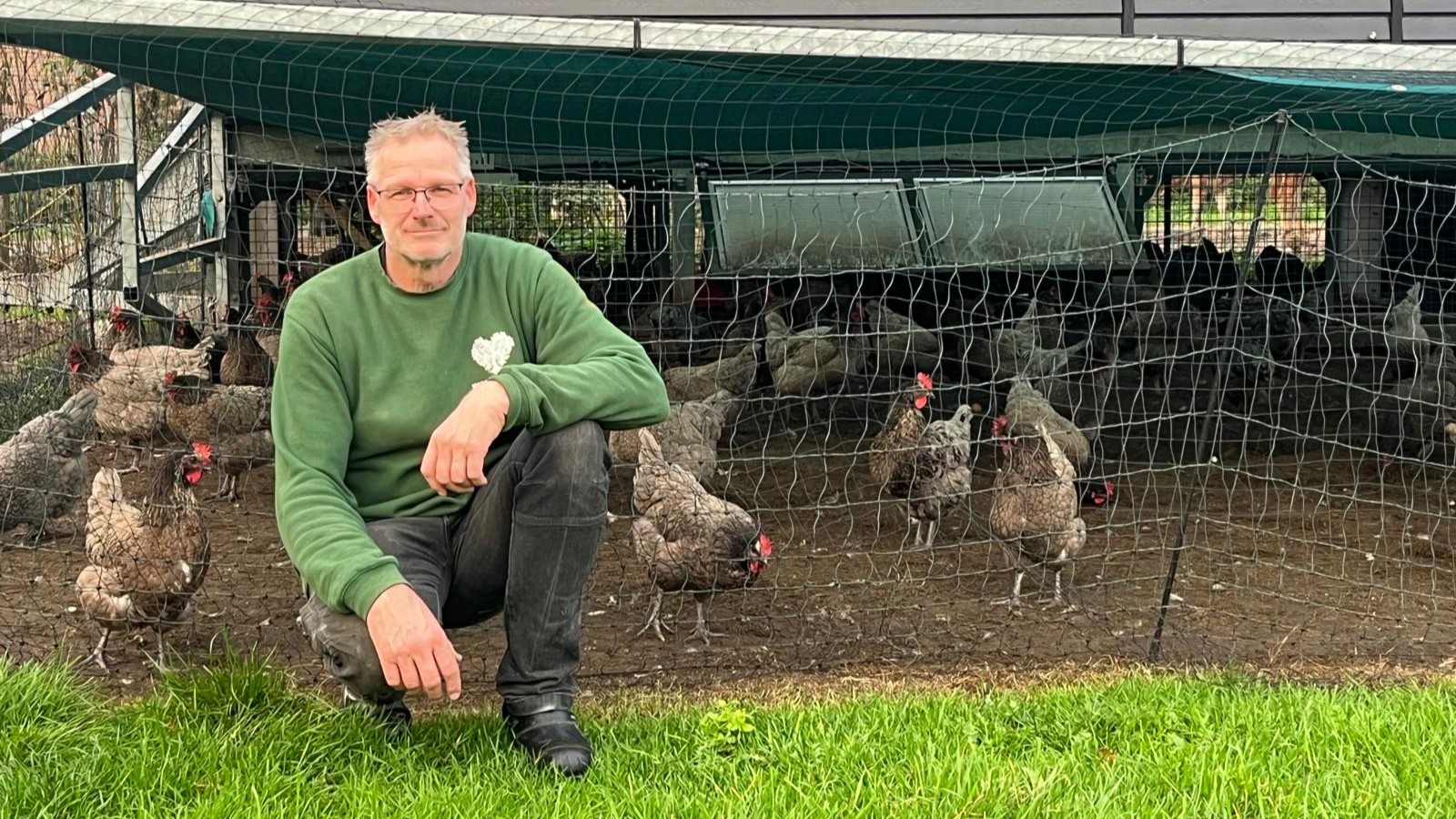 Foto: Dit is waarom de Barneveldse kippen voorlopig niet vrij kunnen scharrelen