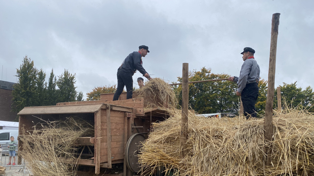 Foto: 'Gewoon mooi', Puttense Ossenmarkt is ook voor jongeren nog altijd een feestdag 