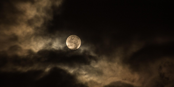 Foto: Tijdens de Nacht van de Nacht ontdek je de Ermelose natuur in het donker
