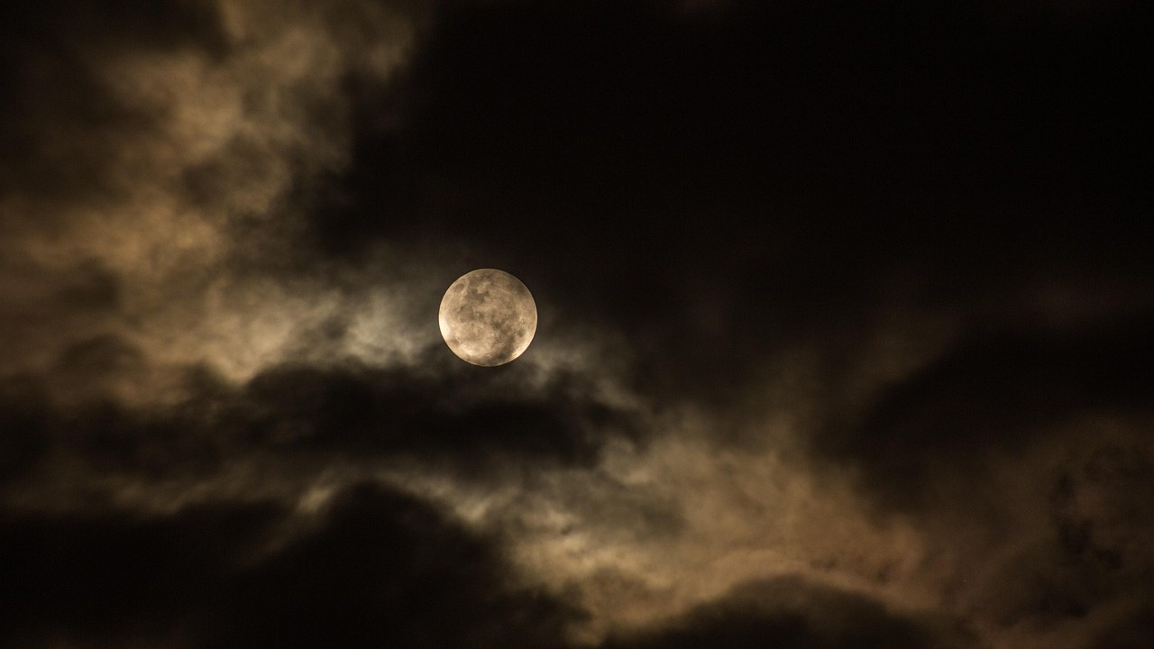 Foto: Tijdens de Nacht van de Nacht ontdek je de Ermelose natuur in het donker