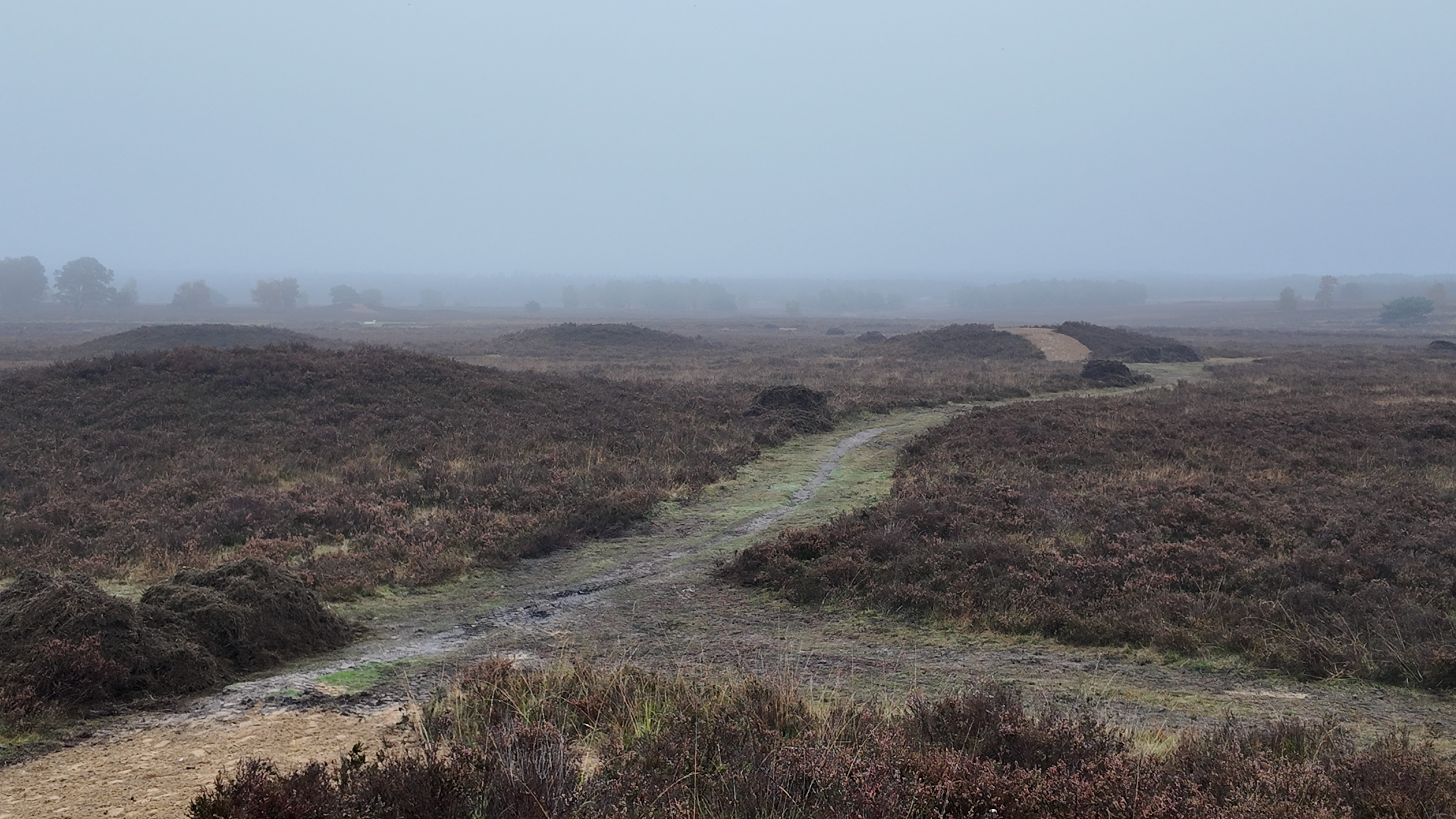 Foto: Grafheuvels en loopgraven: spanning tussen Defensie en erfgoed op Ermelosche Heide