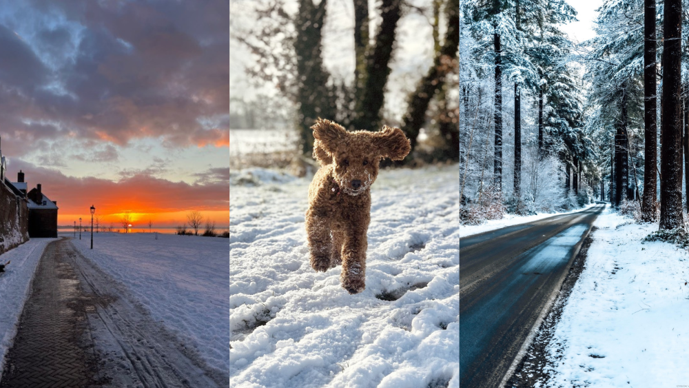 Foto: We vroegen jullie om de mooiste sneeuwfoto's en dit is het resultaat