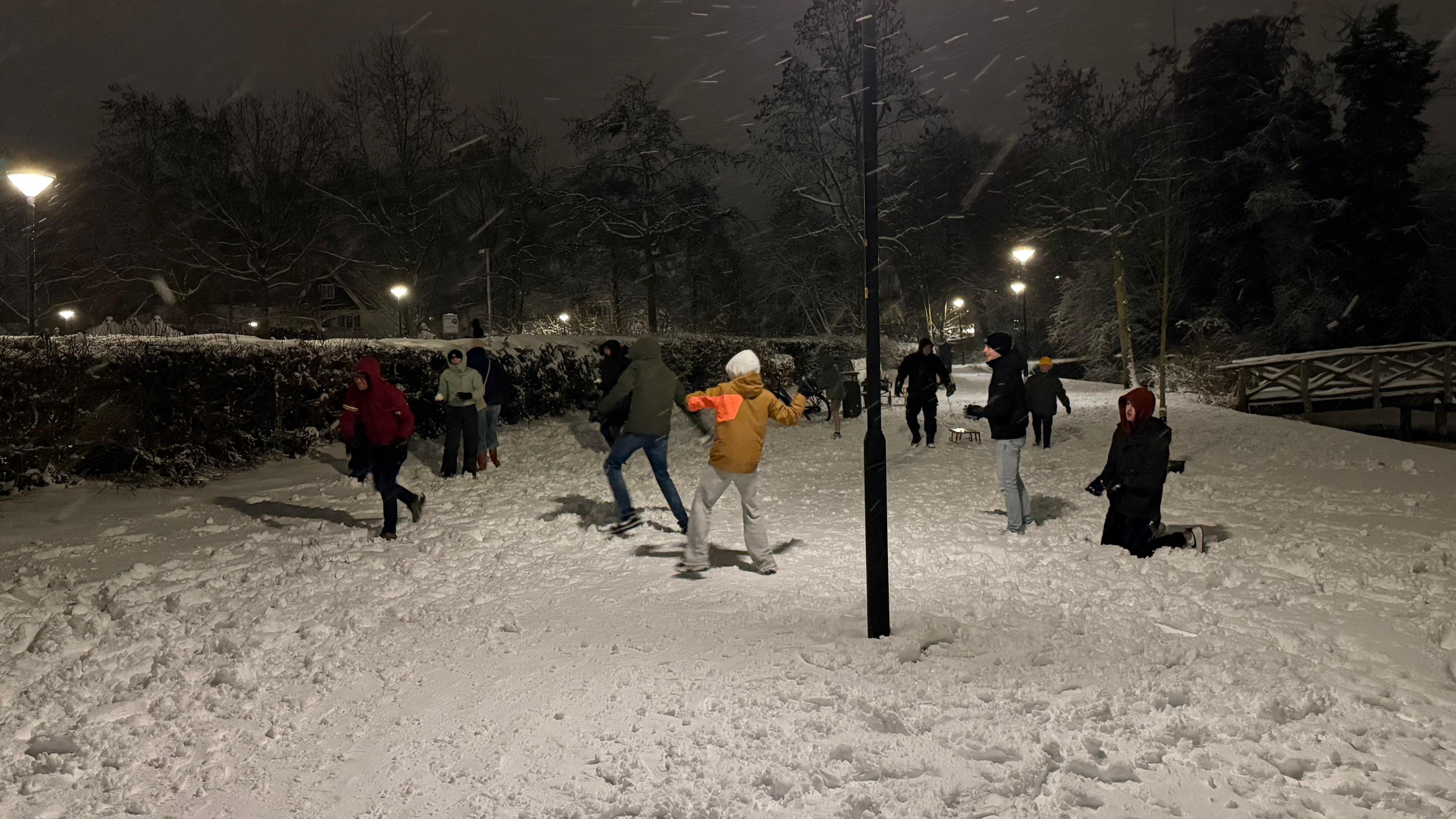 Foto: De slag om het stadspark: spontaan sneeuwballengevecht in Nijkerk