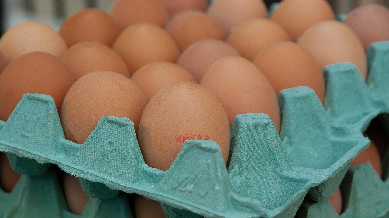 Foto: Veroordeling Barneveldse man in fipronilzaak blijft staan