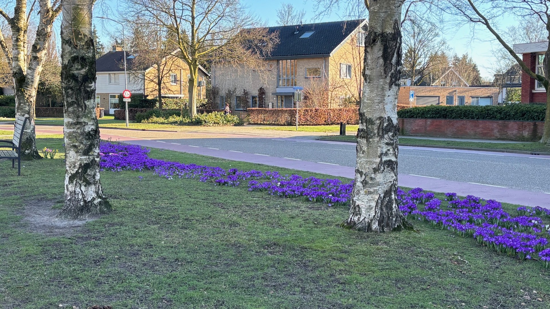 Foto: 1 of 20 maart? Zo zit het met het begin van de lente
