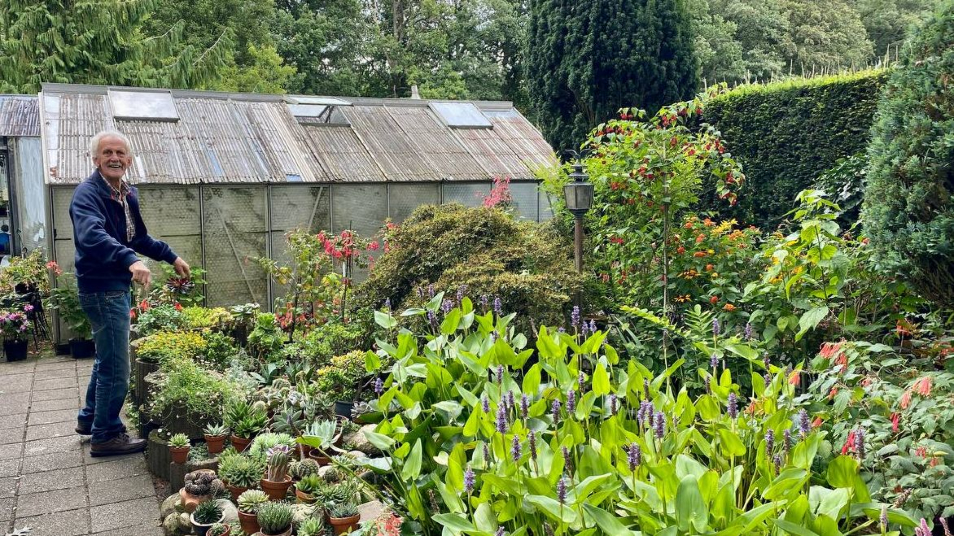 Foto: Open dagen in de bloementuin van familie van den Brink