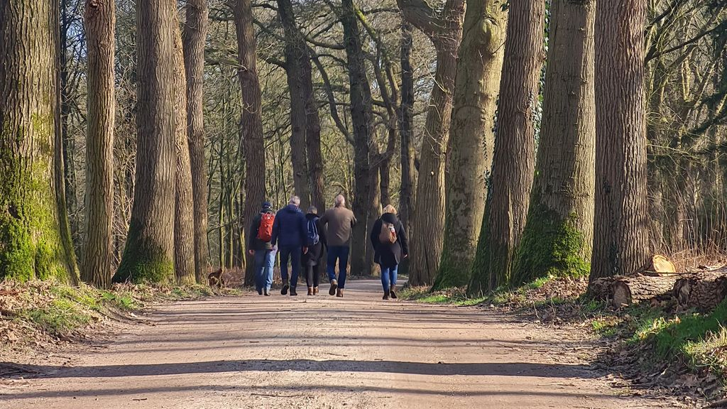 Foto: VVV Veluwse Wandeldagen waren groot succes