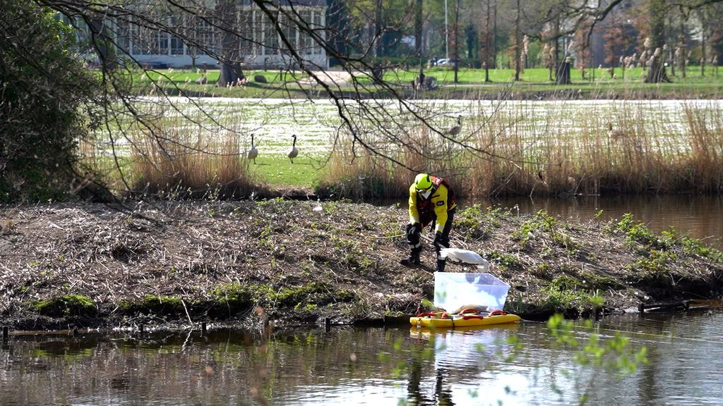 Foto: Grote zorgen na vondst van tientallen dode vogels in Barneveld