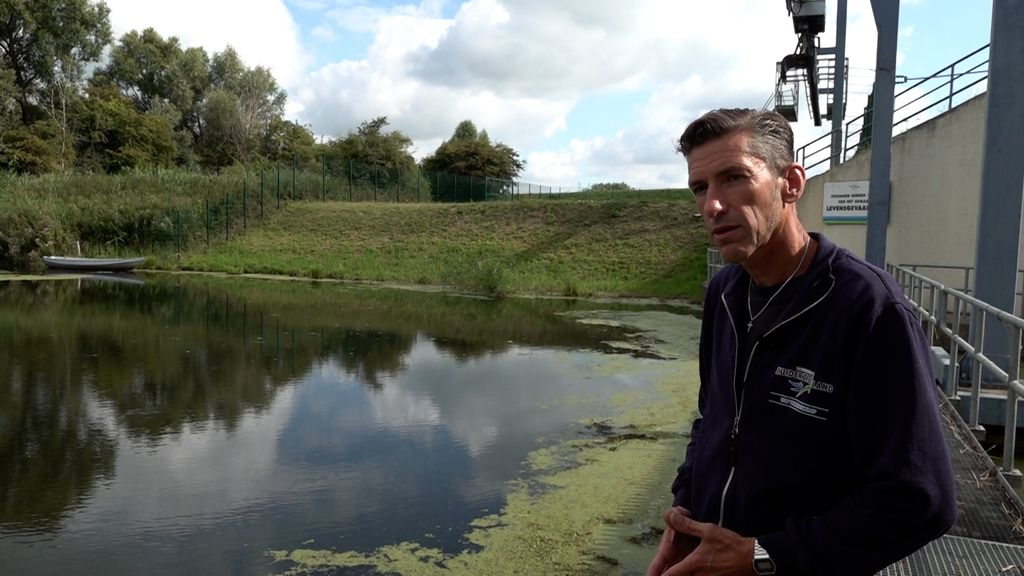 Foto: Zó stromen 'honderden zwembaden' vol water in het Veluwemeer