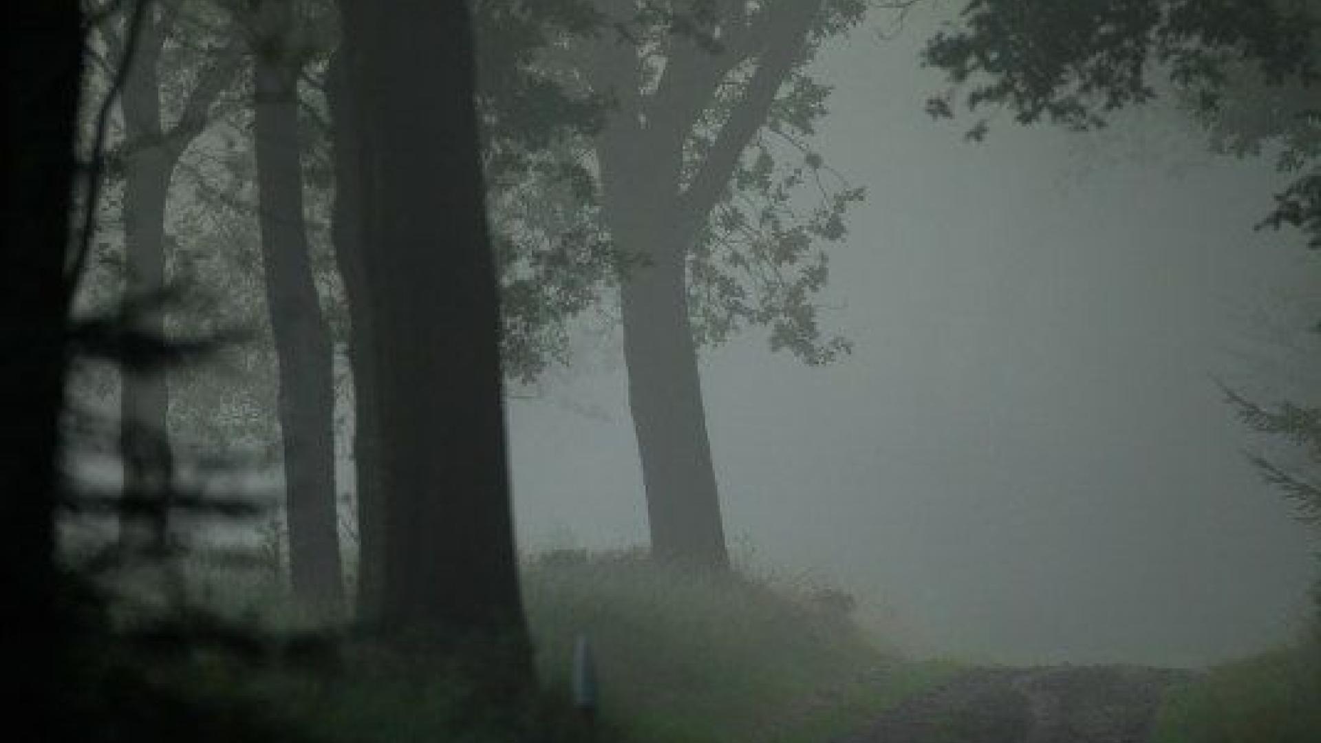 Foto: Spannende kinderwandeling, landgoed Staverden