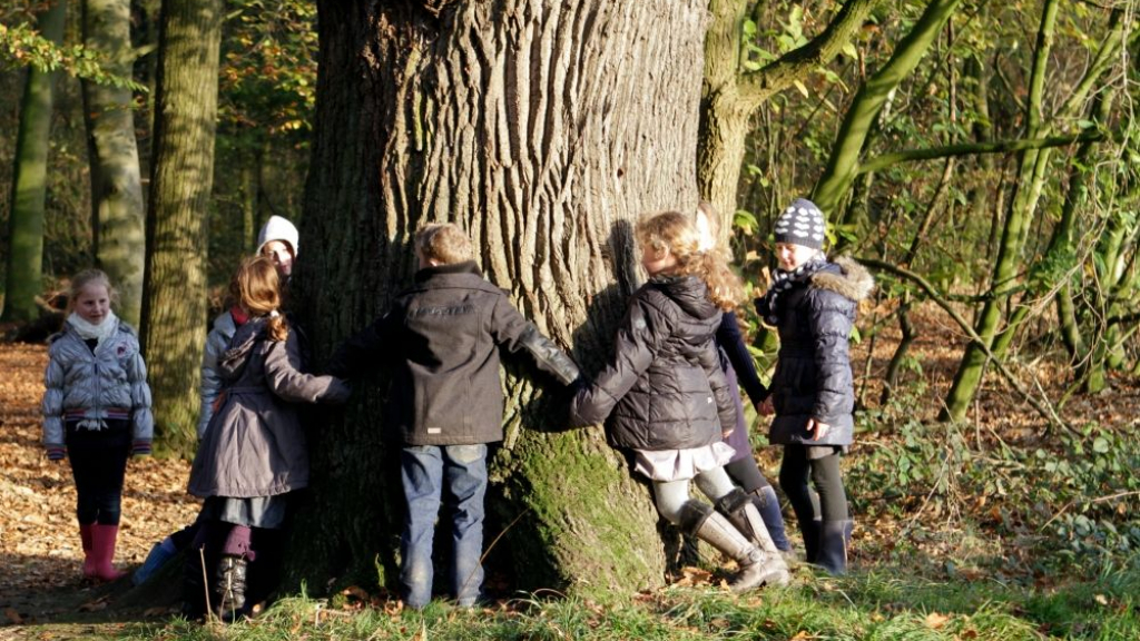Foto: Kinderwandeling in het Schaffelaarse bos