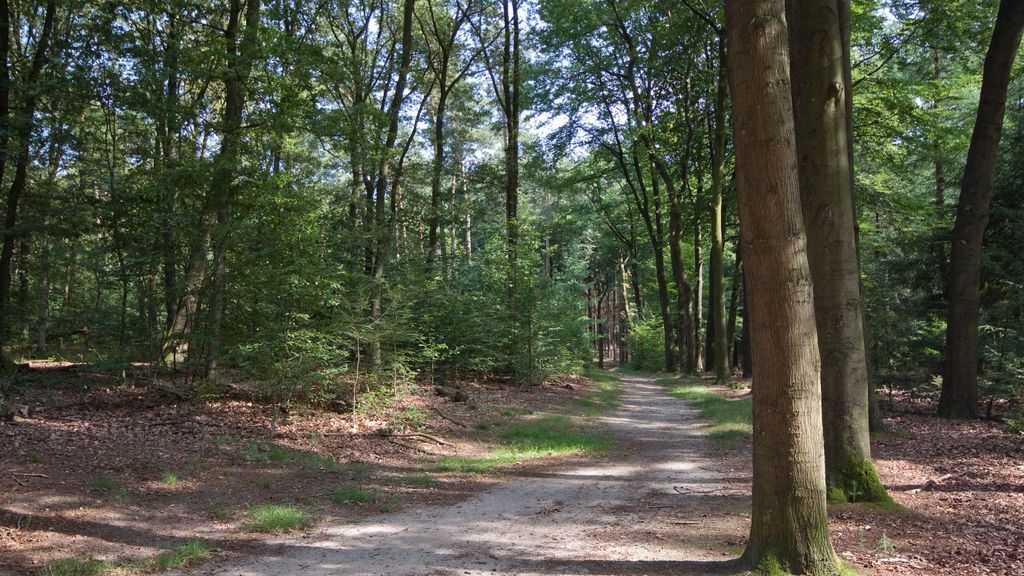 Foto: Hystorische wandeling de Sysselt