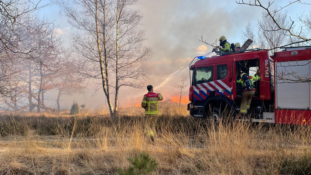 Foto: Eerste serieuze natuurbrand razendsnel onder controle (en dit is waarom)
