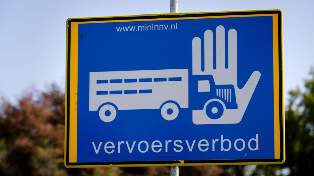 Foto: Grote zorgen in pluimveesector: 'Vogelgriepvirus overleeft voor het eerst de zomer'