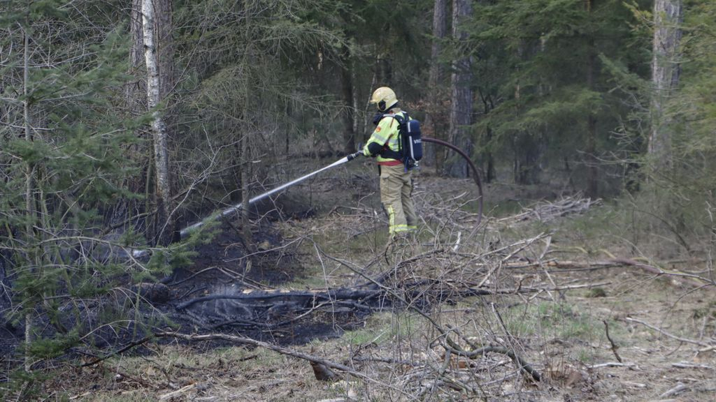 Foto: Kleine bosbrand snel onder controle
