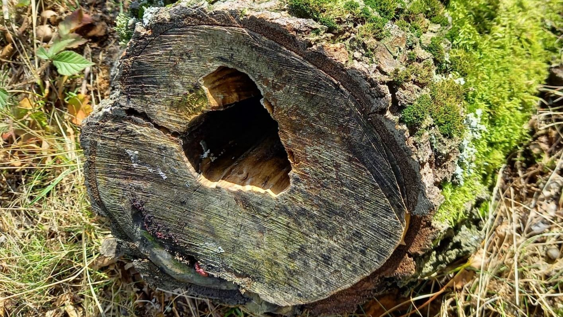 Foto: Stiltedag in de Eshof - Hartverwarmend