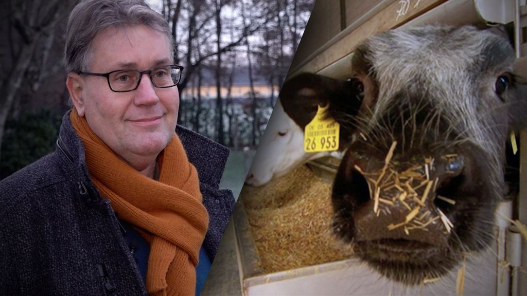 Foto: 'Veel boeren zijn er klaar mee', zelfs deskundigen kunnen beleid niet uitleggen