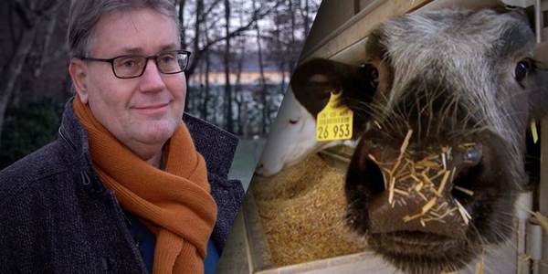Foto: 'Veel boeren zijn er klaar mee', zelfs deskundigen kunnen beleid niet uitleggen