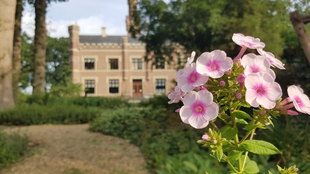 Foto: Zintuigenwandeling op landgoed Schaffelaar